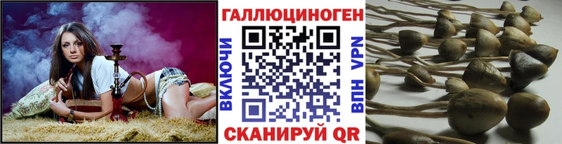 Псилоцибиновые грибы ЛСД  продажа наркотиков  Жирновск 