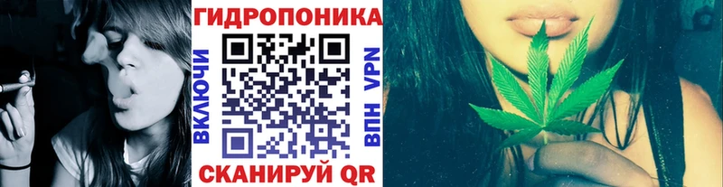 нарко площадка какой сайт  Жирновск  Бошки Шишки THC 21% 